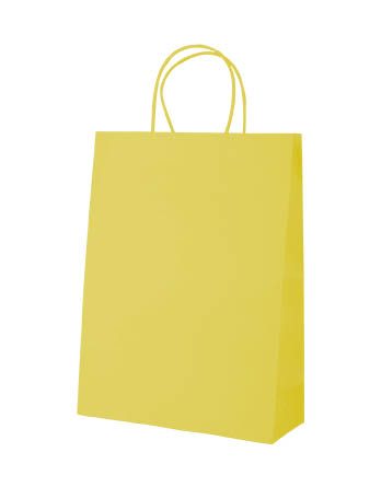 Punga de hartie pentru cumparaturi Store